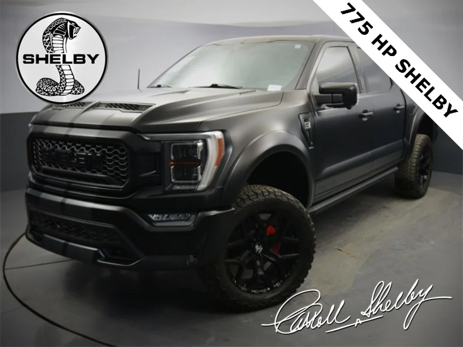 Ford F-150--Shelby For Sale | Dupont Registry